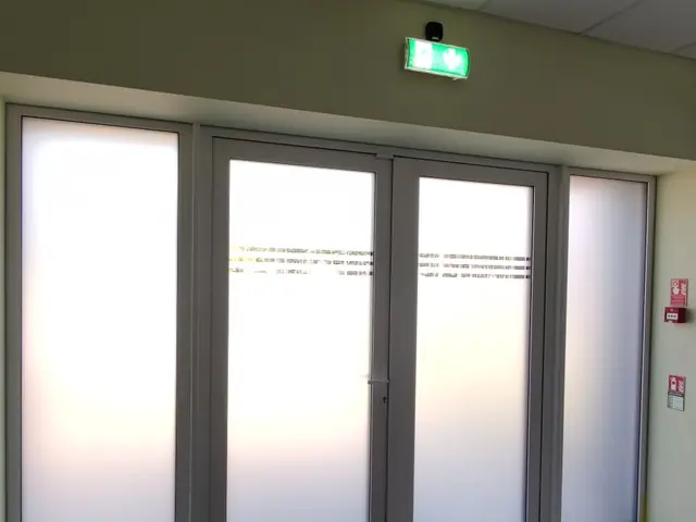 Matēta plēve ieejas durvju grupai